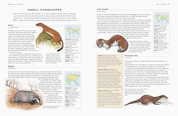 The Complete Illustrated Guide to Animals, Birds & Fish of